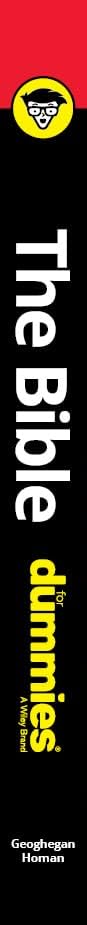 The Bible For Dummies (For Dummies (Religion & Spirituality)) by Jeffrey Geoghegan