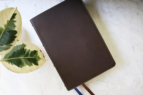 NIV Study Bible, Fully Revised Edition (Study Deeply. Believe Wholeheartedly.), Genuine Leather, Calfskin, Brown, Red Letter, Comfort Print by Zondervan