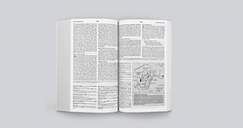 ESV Concise Study Bible, Economy Edition (Paperback): Holy Bible, English Standard Version by ESV Bibles