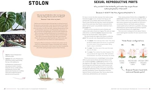 The Ultimate Guide to Houseplant Propagation: Step-by-Step Techniques for Making More Houseplants . . . for Free! by Lindsay Sisti