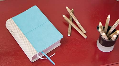 NIV Study Bible, Fully Revised Edition (Study Deeply. Believe Wholeheartedly.), Leathersoft, Teal/Gray, Red Letter, Comfort Print by Zondervan