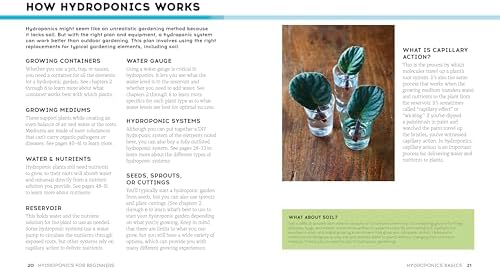 Hydroponics for Beginners: Your Complete Guide to Growing Food Without Soil by Jeree Harms