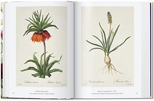 Redouté. Book of Flowers – 40 Years by H. Walter Lack