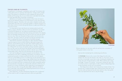 The Encyclopedia of Cut Flowers: What Flowers to Buy, When to Buy Them, and How to Keep Them Alive Longer by Calvert Crary