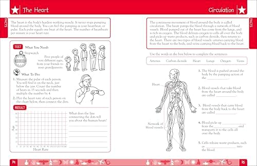 DK Workbooks: Science, Third Grade: Learn and Explore by DK