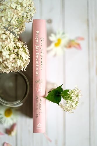 The 3-Minute Prayer Jar Devotional: Daily Inspiration for Women by Wanda E Brunstetter