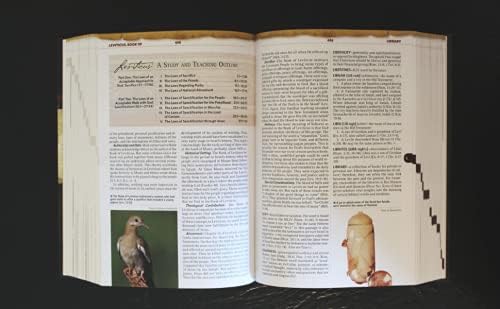 Nelson's Illustrated Bible Dictionary: New and Enhanced Edition by Ronald F. Youngblood