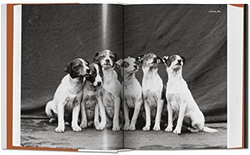 The Dog in Photography 1839–Today (Bibliotheca Universalis) (Multilingual Edition) by Raymond Merritt