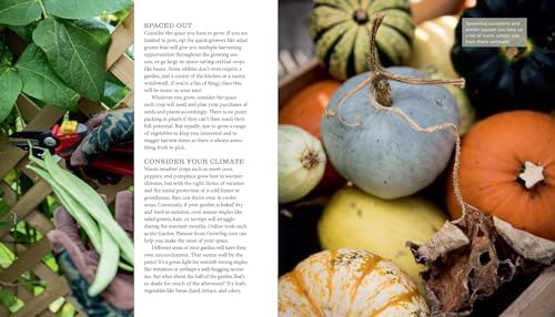 GrowVeg: The Beginner's Guide to Easy Vegetable Gardening by Benedict Vanheems