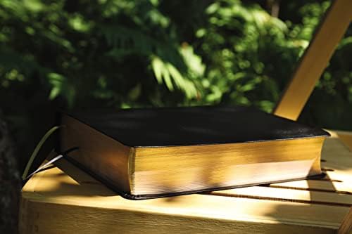 NASB, The Grace and Truth Study Bible (Trustworthy and Practical Insights), Bonded Leather, Black, Red Letter, 1995 Text, Comfort Print by Zondervan