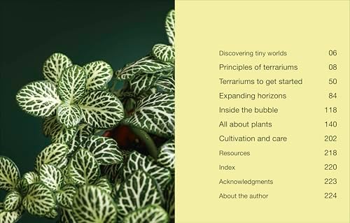 Hello Tiny World: An Enchanting Journey into the World of Creating Terrariums by Ben Newell