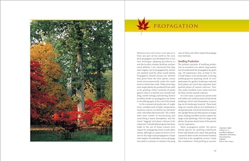 Japanese Maples: The Complete Guide to Selection and Cultivation, Fourth Edition by J. D. Vertrees