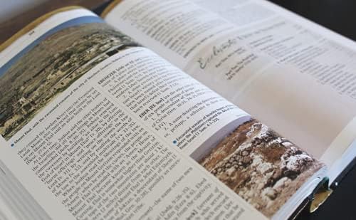 Nelson's Illustrated Bible Dictionary: New and Enhanced Edition by Ronald F. Youngblood
