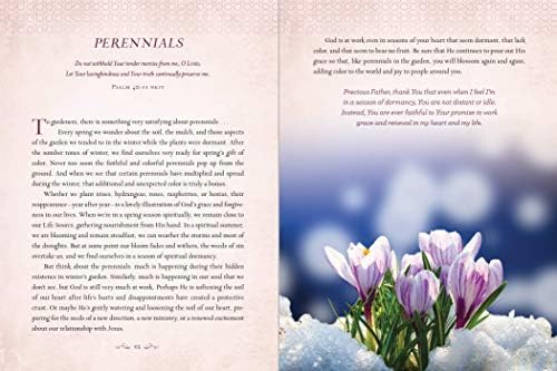 Devotions from the Garden: Finding Peace and Rest from Your Hurried Life (A 90-Day Devotional) by Miriam Drennan