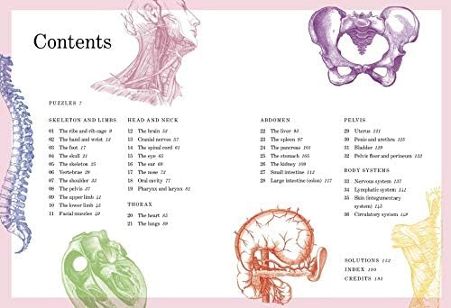 Gray's Anatomy Puzzle Book: Think you know your cranium from your clavicle? Tibia from your trachea? Think again ... by Dr. Gareth Moore