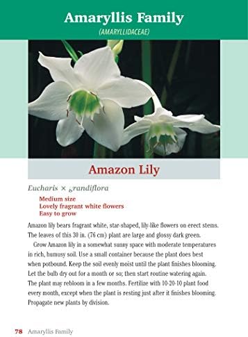 Pocket Guide to Houseplants: Over 240 Easy-Care Favorites (Creative Homeowner) Complete Plant Guide with 300+ Photos and Illustrations in a Handy 5 x 7 Size to Help You Choose Plants at the Store by Jack Kramer
