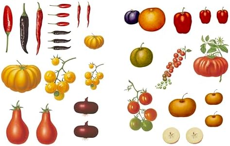 RHS Collage the Botanical World: 1,000+ Fantastic & Floral Images to Cut Out & Collage by RHS