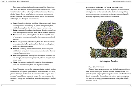 The Green Witch's Garden: Your Complete Guide to Creating and Cultivating a Magical Garden Space (Green Witch Witchcraft Series) by Arin Murphy-Hiscock