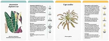 A Home Full of House Plants: A Practical Card Deck (Kew Experts) by Kay Maguire