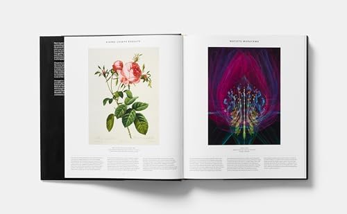 Plant: Exploring the Botanical World by Phaidon Editors
