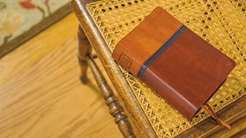 NIV Study Bible, Fully Revised Edition (Study Deeply. Believe Wholeheartedly.), Personal Size, Leathersoft, Brown/Blue, Red Letter, Comfort Print by Zondervan