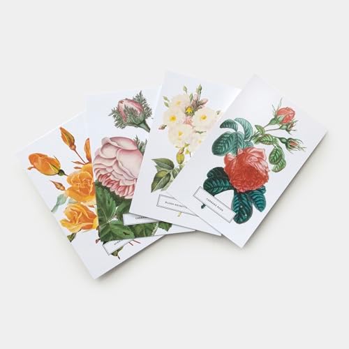 Roses: 100 Postcards from the Archives of The New York Botanical Garden by The New York Botanical Garden