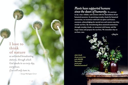 The Generosity of Plants: Shared Wisdom from the Community of Herb Lovers by Rosemary Gladstar