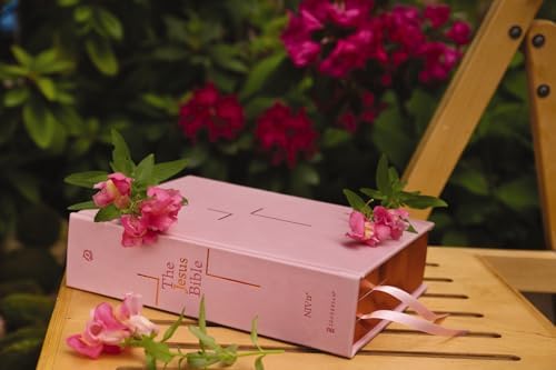 The Jesus Bible, NIV Edition, (With Thumb Tabs to Help Locate the Books of the Bible), Leathersoft over Board, Pink, Thumb Indexed, Comfort Print by Zondervan