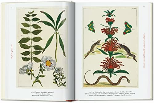 Seba: Cabinet of Natural Curiosities. 45th Ed. (45th Edition) (Multilingual Edition) by Irmgard M�sch