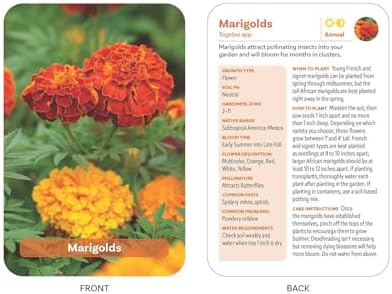 The Flower Garden Deck: 50 Flower Care Cards to Help You Plan, Plant, and Grow the Perfect Garden! by Jon VanZile