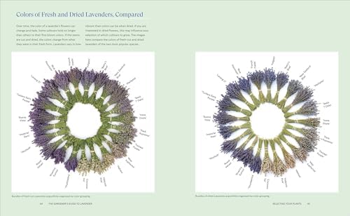 Lavender for All Seasons: A Gardener's Guide to Growing and Creating with Lavender Year-Round by Paola Legarre