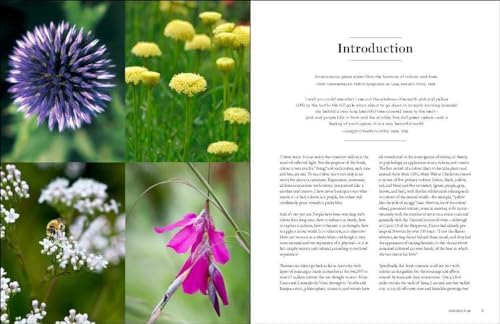 The Gardener's Palette: Creating Colour Harmony in the Garden by Jo Thompson