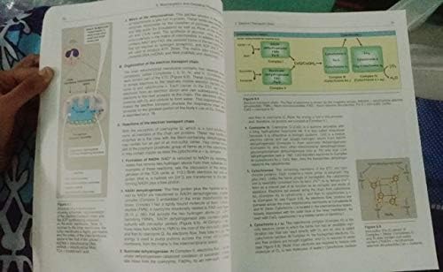 Lippincott’s Illustrated Reviews : Biochemistry, 6/e by Ferrier