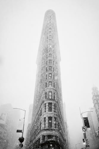 New York Street Diaries by Phil Penman