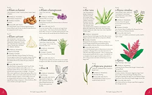 The Complete Language of Flowers: A Definitive and Illustrated History - Pocket Edition by S. Theresa Dietz