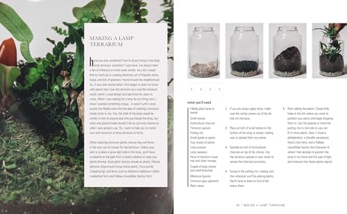 Wild at Home: How to style and care for beautiful plants by Hilton Carter