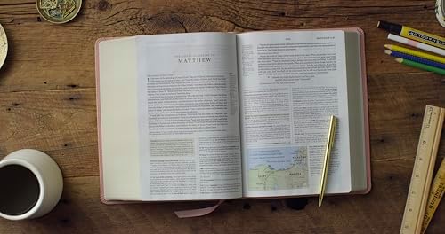 ESV Study Bible (TruTone, Pink, Fleur-de-lis Design): Holy Bible, English Standard Version by ESV Bibles