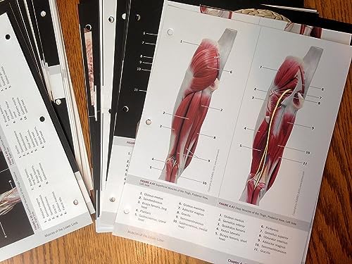 Photographic Atlas for Anatomy & Physiology, A by Nora Hebert