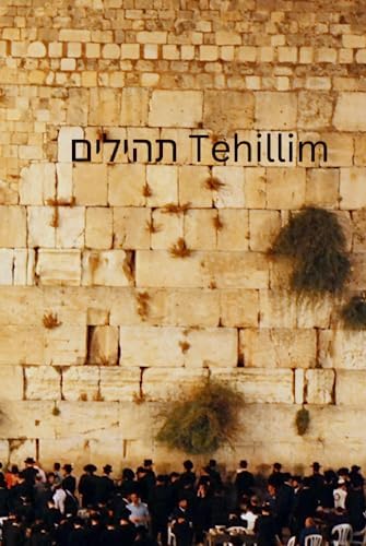 Tehillim תהילים Psalms (Hebrew Edition) by z ritvo