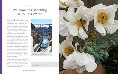 The Water-Smart Garden: Techniques and Strategies for Conserving, Capturing, and Efficiently Using Water in Today's Climate... and Tomorrow's by Noelle Johnson
