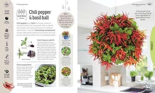Indoor Edible Garden: Creative Ways to Grow Herbs, Fruits, and Vegetables in Your Home by Zia Allaway