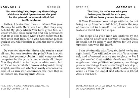 Daily Light - Burgundy: A 365-Day Morning and Evening Devotional by Anne Graham Lotz