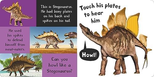 Noisy Dinosaurs: Includes 6 Sounds and an On/Off Switch on the Back Cover! (My First) by Jonathan Litton