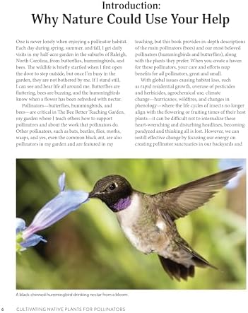 Cultivating Native Plants for Pollinators: A Comprehensive Guide to Attracting Birds, Bees and Butterflies (Creative Homeowner) Native Gardening for Every U.S. Region Using Sustainable Practices by Helen Yoest