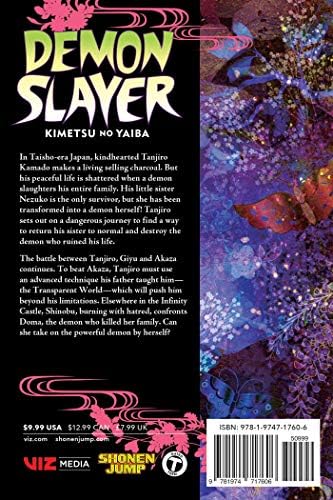 Demon Slayer: Kimetsu no Yaiba, Vol. 18: Assaulted By Memories by Koyoharu Gotouge