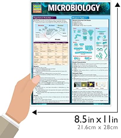 Microbiology: a QuickStudy Laminated Reference Guide (Quick Study Academic) by Inc. BarCharts Publishing