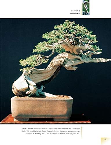 The Bonsai Handbook (IMM Lifestyle Books) The Science and Art of Bonsai from Anatomy to Aesthetics, and How to Grow Your Own, including Pinching, Pruning, Wiring, Holiday Care, and a Photo Gallery by David Prescott