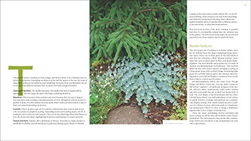 The Plant Lover's Guide to Sedums by Brent Horvath
