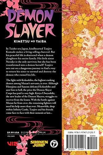 Demon Slayer: Kimetsu no Yaiba, Vol. 21: Ancient Memories by Koyoharu Gotouge