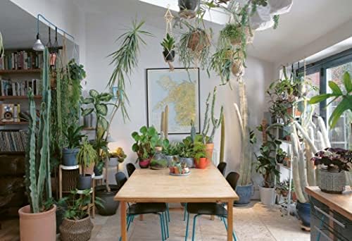 The Plant Rescuer: The book your houseplants want you to read by Sarah Gerrard-Jones